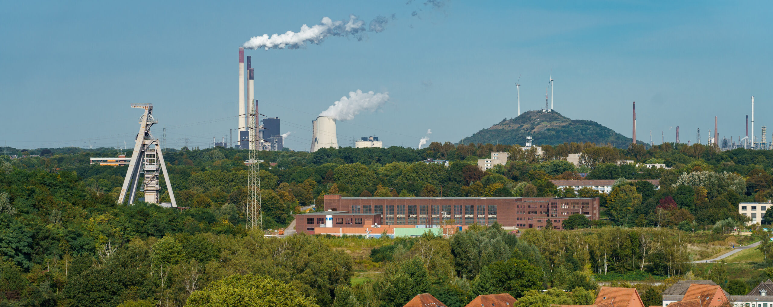 EU-Projekt WINTER: Wissen nachhaltig sichern