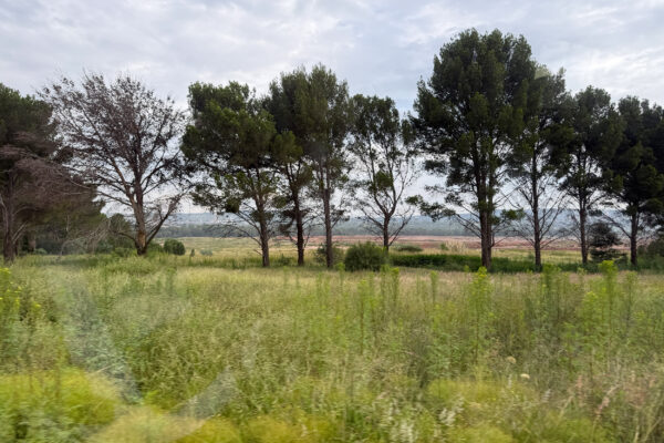 Post-Mining Landscape Restoration Workshop 20