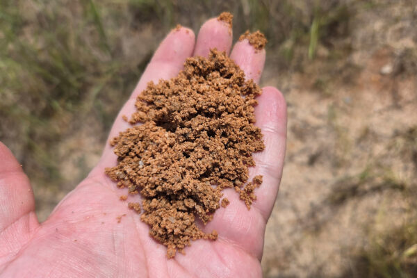 Post-Mining Landscape Restoration Workshop 29