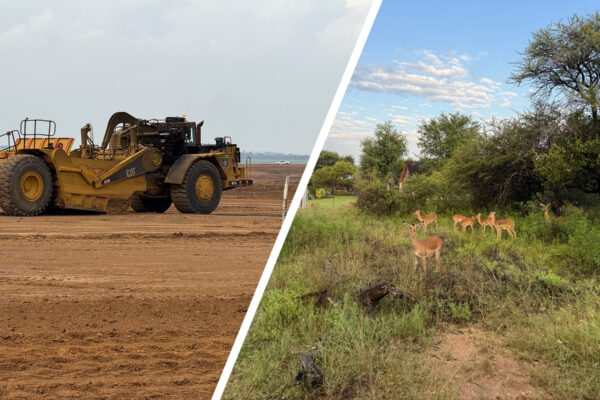 Post-Mining Landscape Restoration Workshop collage