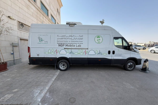 Saudi Arabien 11