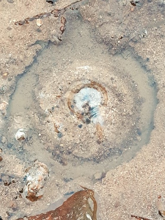 Naturgas-Austrittsstelle an der Erdoberfläche